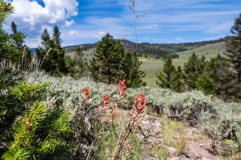 1021 Slumgullion Trl, Powderhorn, CO 81243