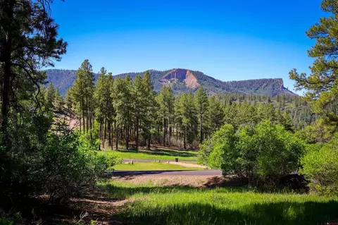 379 Ironwood Dr, Pagosa Springs, CO 81147