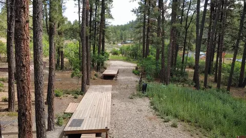 996 1032 Raccoon Dr, Pagosa Springs, CO 81147