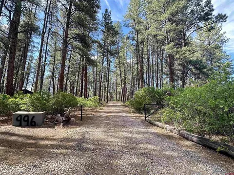 996 1032 Raccoon Dr, Pagosa Springs, CO 81147