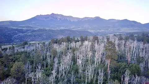 APT 6 Little Lake Ranch Drive, Placerville, CO 81430