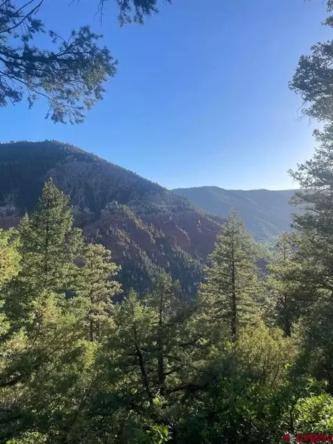 tbd 58p Rd, Placerville, CO 81430 photo 7