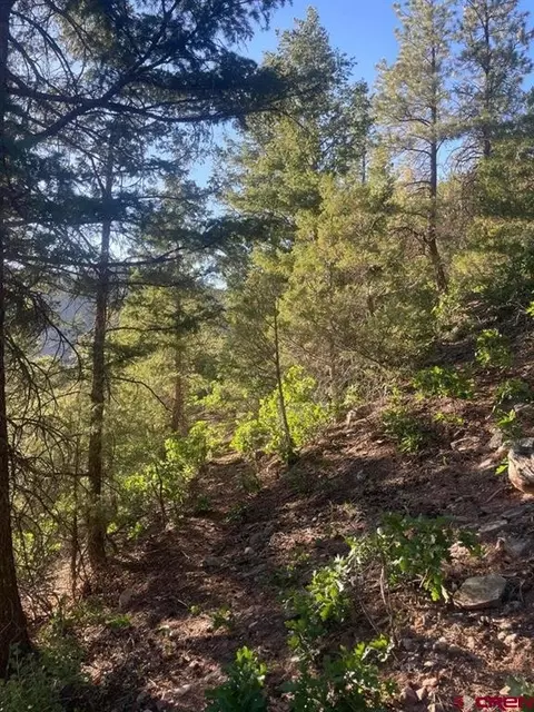 tbd 58p Rd, Placerville, CO 81430 photo 9