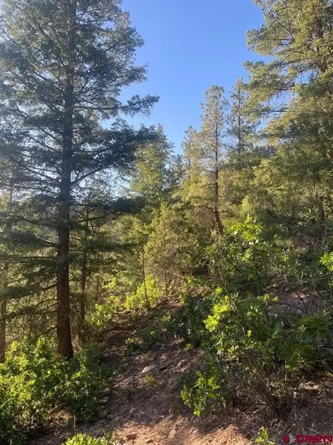 tbd 58p Rd, Placerville, CO 81430 photo 30