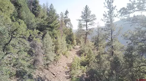 tbd 58p Rd, Placerville, CO 81430 photo 26