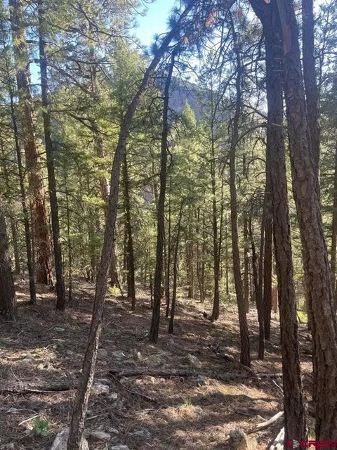 tbd 58p Rd, Placerville, CO 81430 photo 13