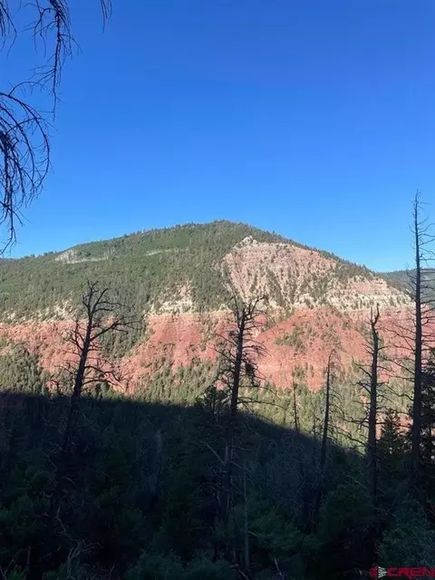 tbd 58p Rd, Placerville, CO 81430 photo 3