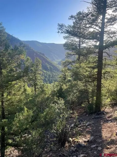 tbd 58p Rd, Placerville, CO 81430 photo 17