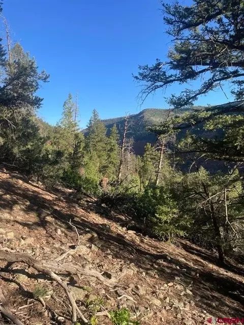 tbd 58p Rd, Placerville, CO 81430 photo 28