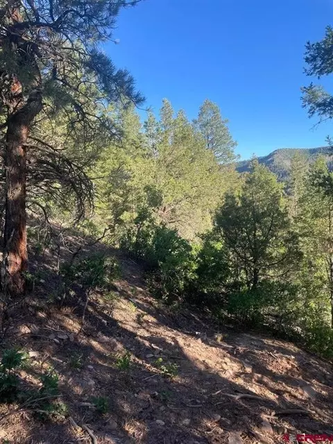 tbd 58p Rd, Placerville, CO 81430 photo 27