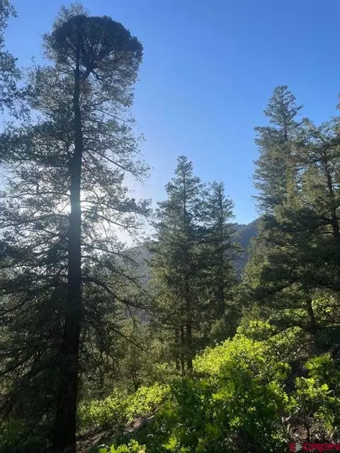 tbd 58p Rd, Placerville, CO 81430 photo 5