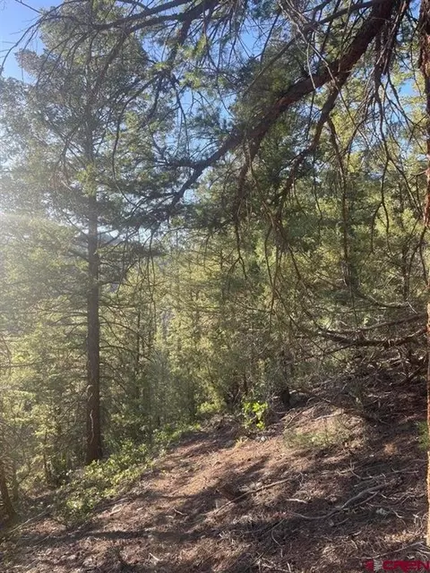 tbd 58p Rd, Placerville, CO 81430 photo 14