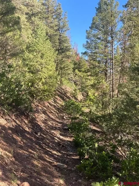 tbd 58p Rd, Placerville, CO 81430 photo 12