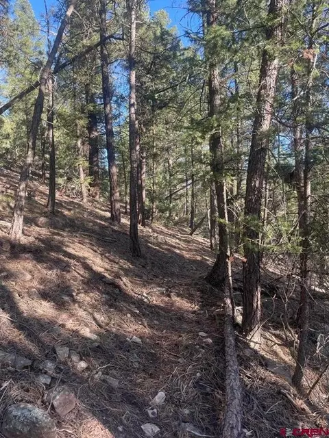 tbd 58p Rd, Placerville, CO 81430 photo 10