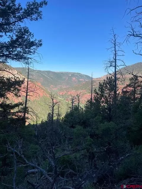 tbd 58p Rd, Placerville, CO 81430 photo 22