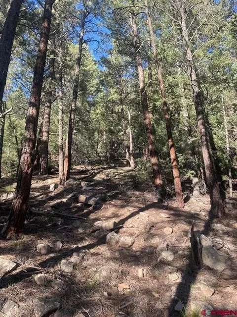 tbd 58p Rd, Placerville, CO 81430 photo 11
