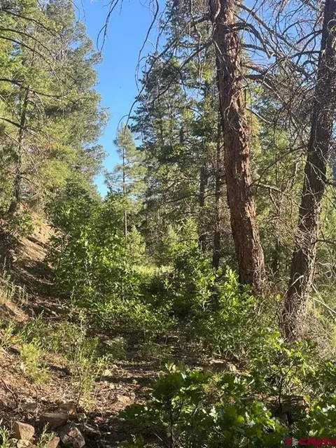 tbd 58p Rd, Placerville, CO 81430 photo 25