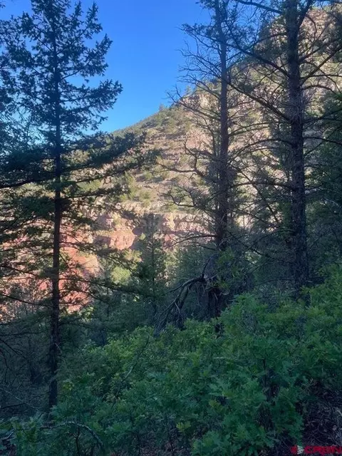 tbd 58p Rd, Placerville, CO 81430 photo 19