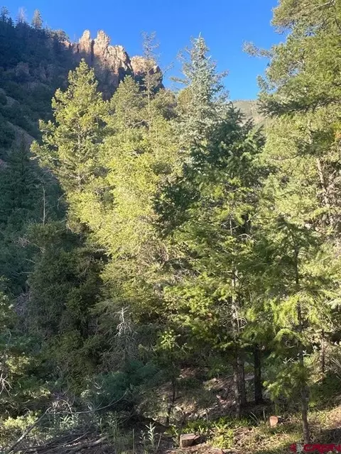 tbd 58p Rd, Placerville, CO 81430 photo 21