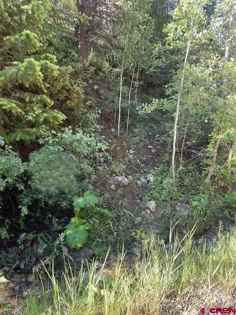 tbd 58p Rd, Placerville, CO 81430 photo 34
