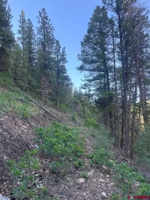 tbd 58p Rd, Placerville, CO 81430 photo 23