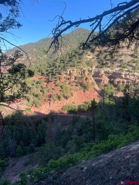 tbd 58p Rd, Placerville, CO 81430 photo 15