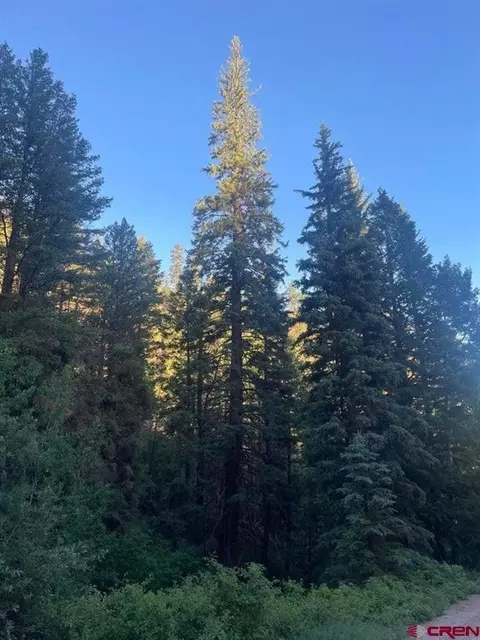 tbd 58p Rd, Placerville, CO 81430 photo 20