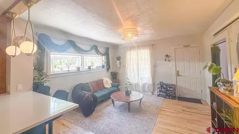 Other - 146 E 4th Ave, Durango, CO 81301 photo 11 of 18