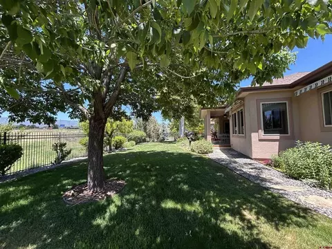 Exterior - 850 SE Pinyon St, Cedaredge, CO 81413 photo 7 of 12