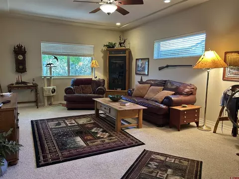 Living - 850 SE Pinyon St, Cedaredge, CO 81413 photo 5 of 5