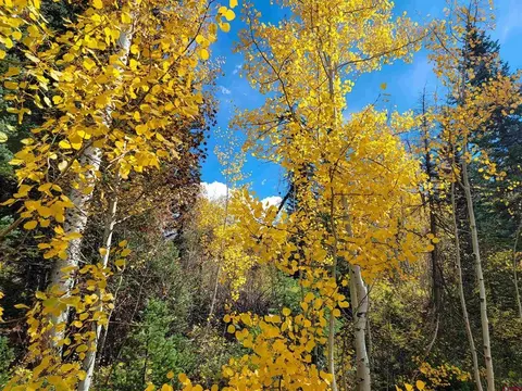 59 Engineer Dr, Durango, CO 81301 photo 21