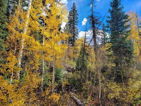 59 Engineer Dr, Durango, CO 81301 photo 14