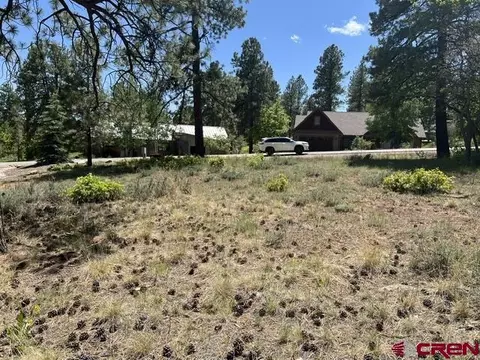 250 Copper Rim Trl, Durango, CO 81301 photo 9