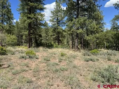 250 Copper Rim Trl, Durango, CO 81301 photo 6