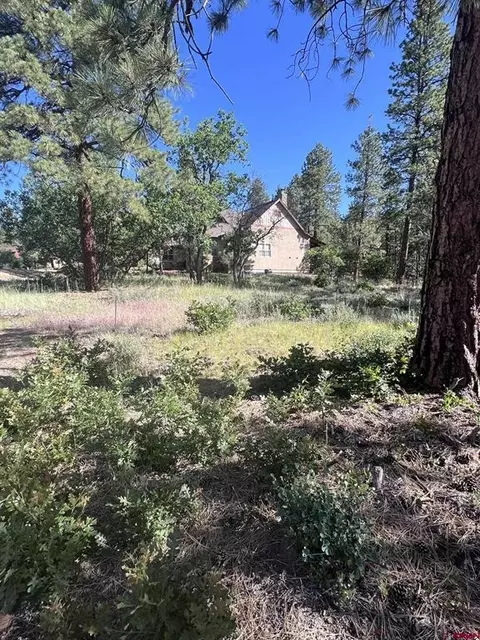 250 Copper Rim Trl, Durango, CO 81301 photo 4