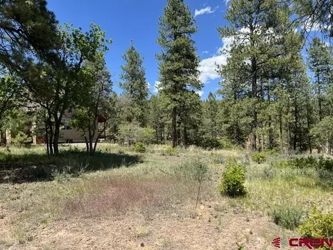 250 Copper Rim Trl, Durango, CO 81301 photo 2