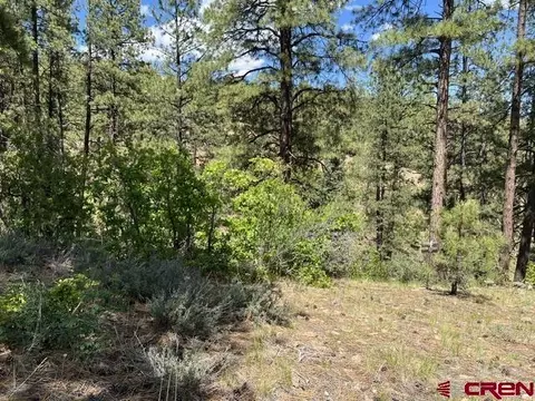 250 Copper Rim Trl, Durango, CO 81301 photo 11