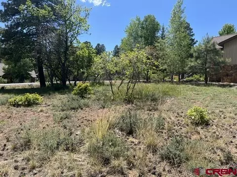 250 Copper Rim Trl, Durango, CO 81301 photo 8