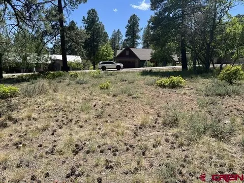 250 Copper Rim Trl, Durango, CO 81301 photo 7