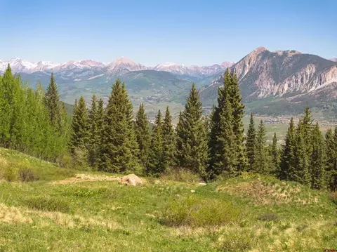 1371 Red Mountain Ranch Upper Loop, Crested Butte, CO 81224 photo 3