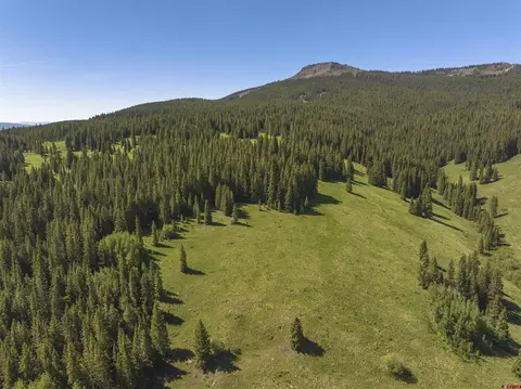 1371 Red Mountain Ranch Upper Loop, Crested Butte, CO 81224 photo 35