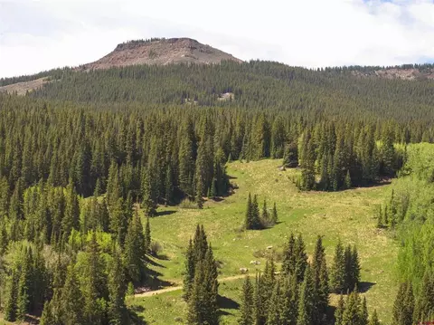 1371 Red Mountain Ranch Upper Loop, Crested Butte, CO 81224 photo 14