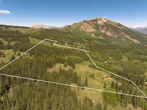 1371 Red Mountain Ranch Upper Loop, Crested Butte, CO 81224 photo 18