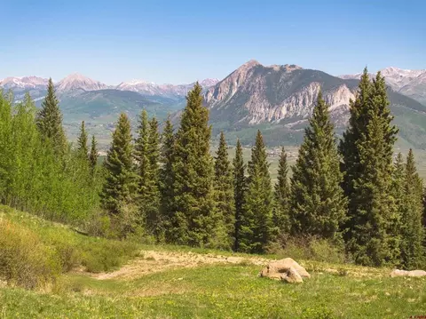 1371 Red Mountain Ranch Upper Loop, Crested Butte, CO 81224 photo 2