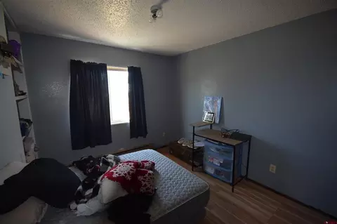 12403 E Spring Cir, Eckert, CO 81418 photo 4