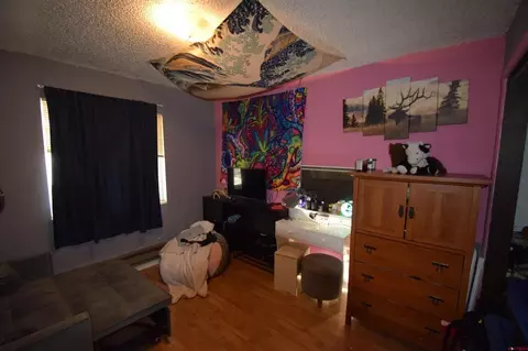 12403 E Spring Cir, Eckert, CO 81418 photo 5