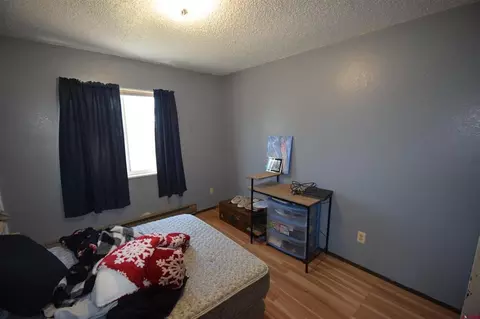 12403 E Spring Cir, Eckert, CO 81418 photo 3