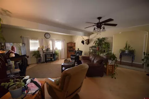 12403 E Spring Cir, Eckert, CO 81418 photo 13