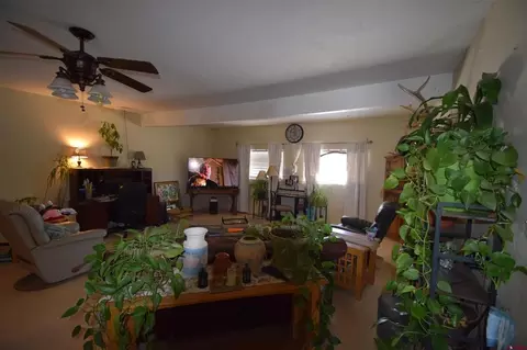 12403 E Spring Cir, Eckert, CO 81418 photo 14