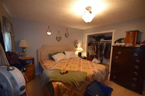 12403 E Spring Cir, Eckert, CO 81418 photo 2